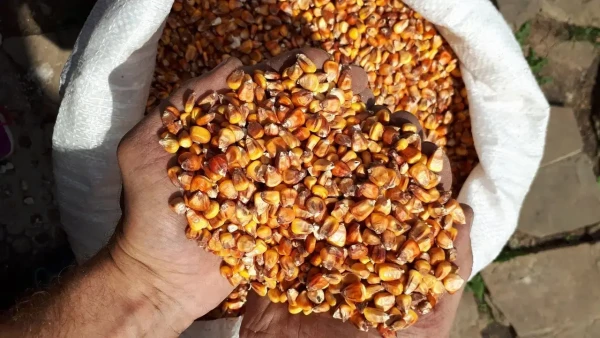 Nova Poshta delivered seeds for planting to more than 40,000 households
